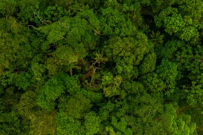 Parceria entre Prefeitura e Reflonorte oferece curso gratuito de Ajudante Florestal com 20 vagas
