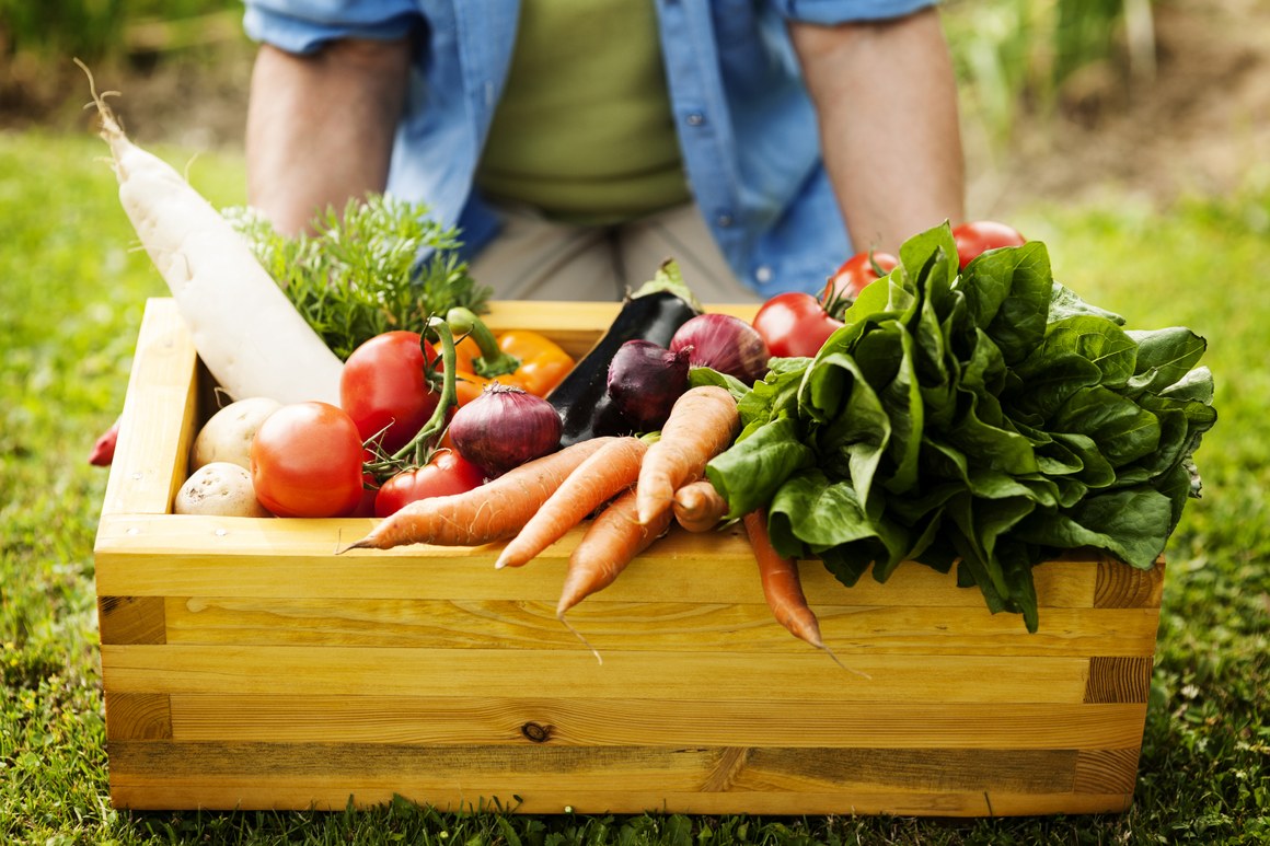 Prefeitura abre Chamada Pública para compra de alimentos da Agricultura Familiar para a merenda escolar